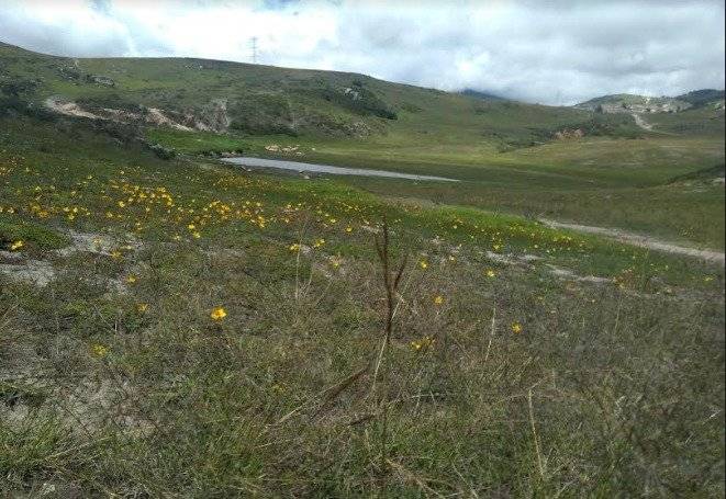 Cerro Seco, el paraíso ecológico que rodea el sur de la capital