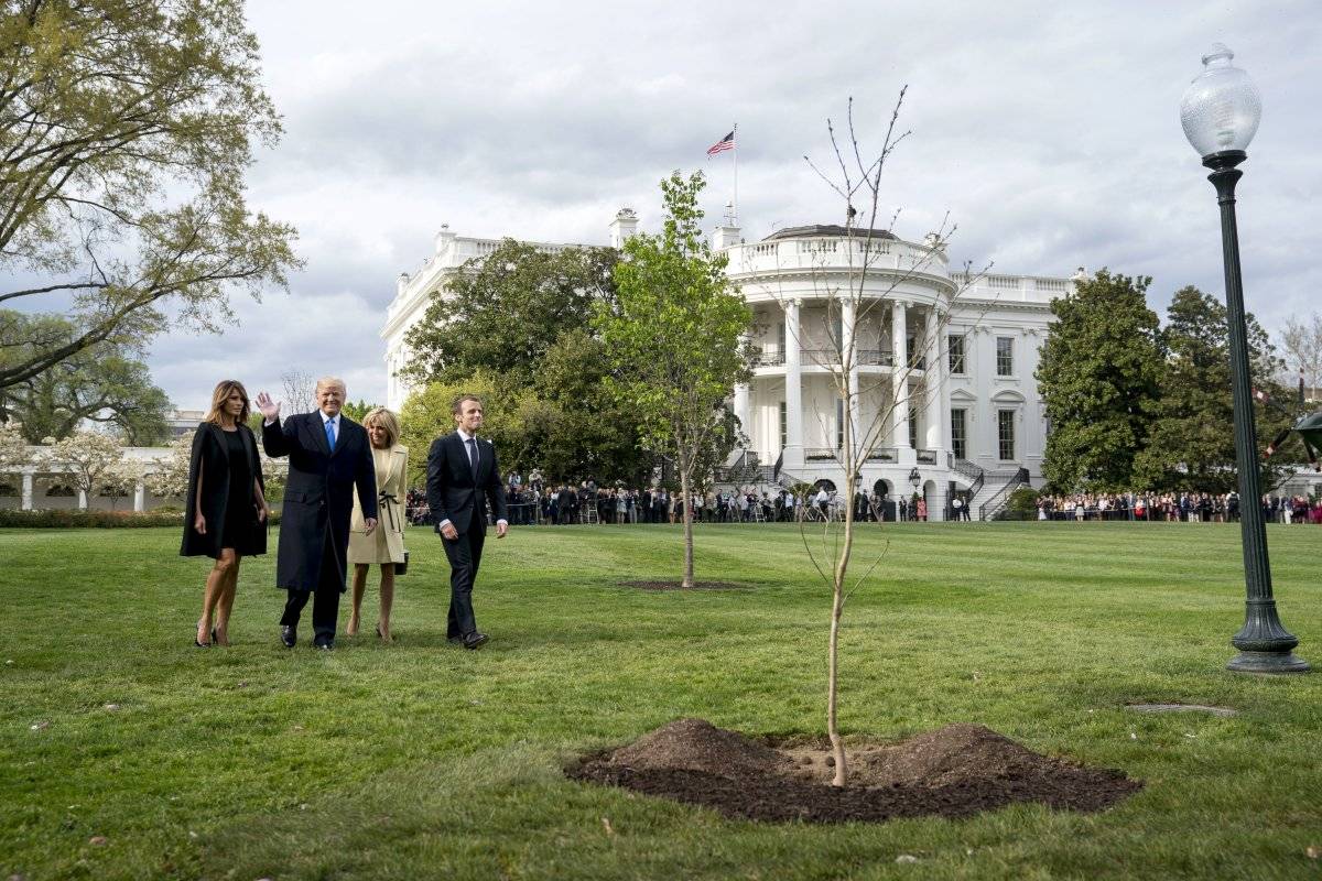 árbol de la amistad Trump y Macron