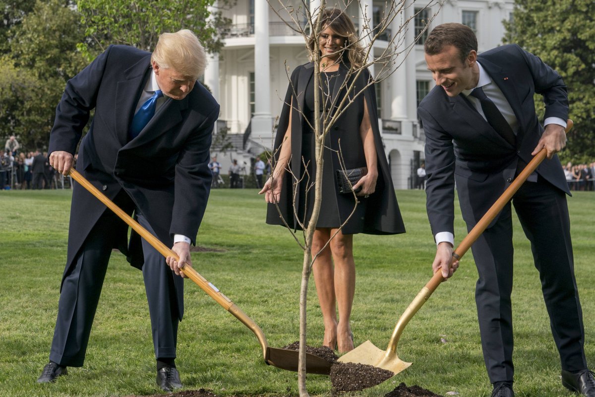 árbol de la amistad Trump y Macron