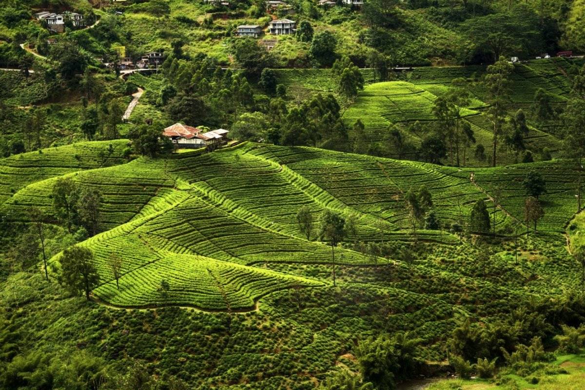 Sri Lanka