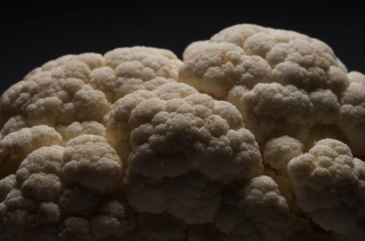 Coliflor