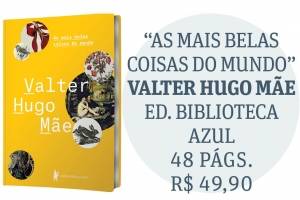 as mais belas coisas do mundo valter hugo mãe