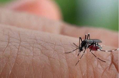 Dengue