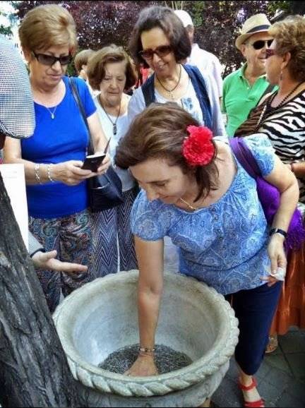 Fiesta de San Antonio