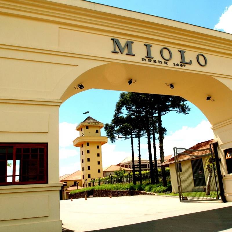 turismo gastronomico