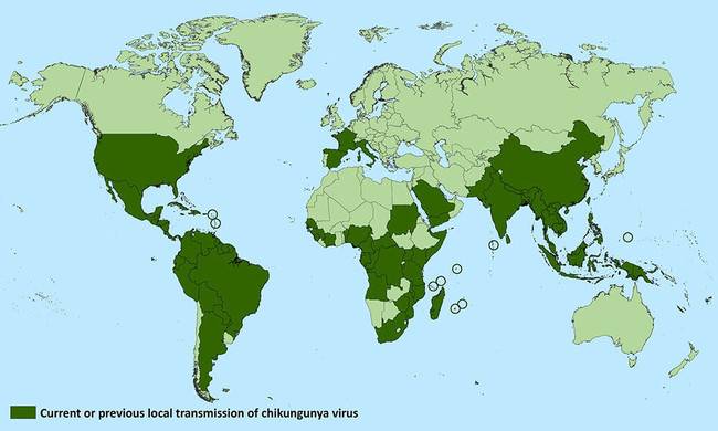 En España se detectan diversos casos de una enfermedad que se creía originaria de climas tropicales En España se detectan diversos casos de una enfermedad que se creía originaria de climas tropicales