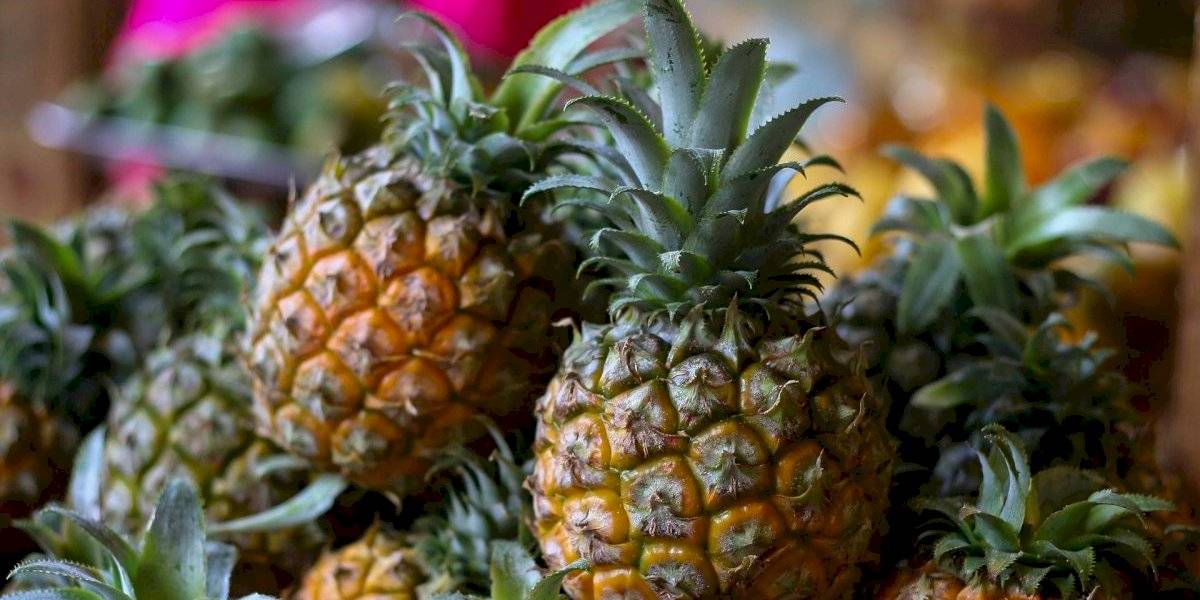 Metabolismo naturalmente como acelerar el