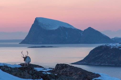 Sommarøy