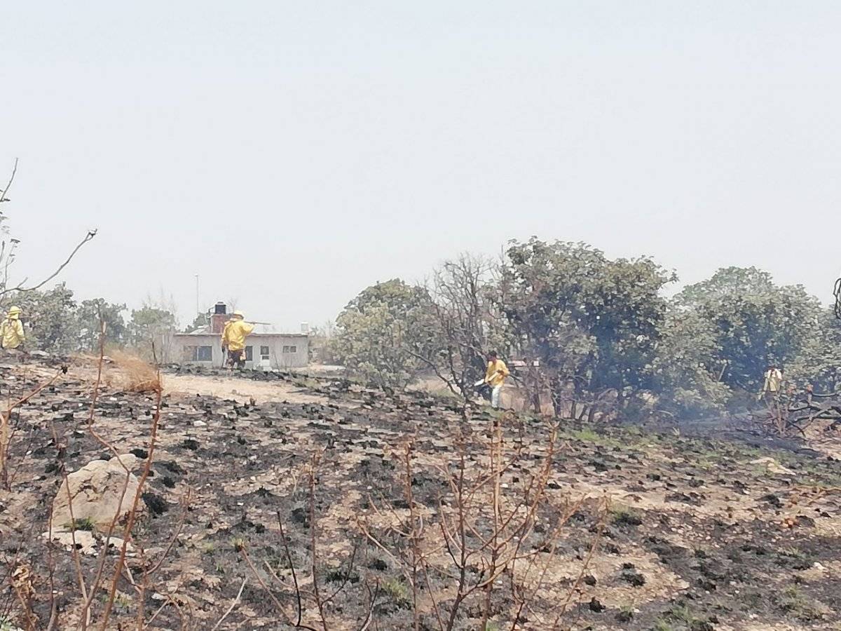Piden paciencia con las reforestaciones de La Primavera