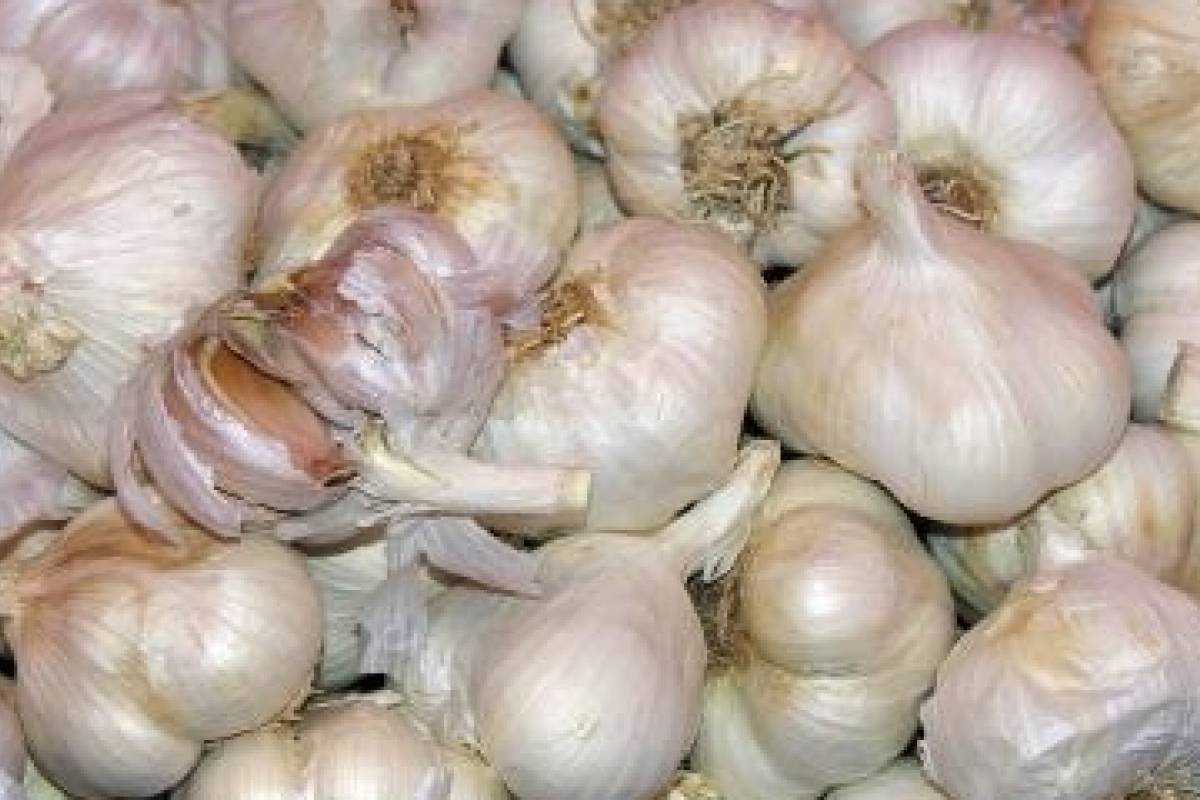 Remedios para quitar sabor ajo