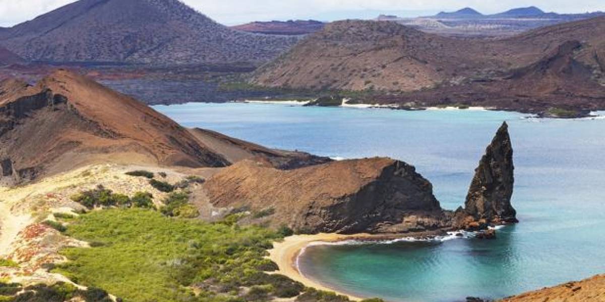 Registran dos especies de tiburones inéditas en aguas profundas de Galápagos Registran dos especies de tiburones inéditas en aguas profundas de Galápagos
