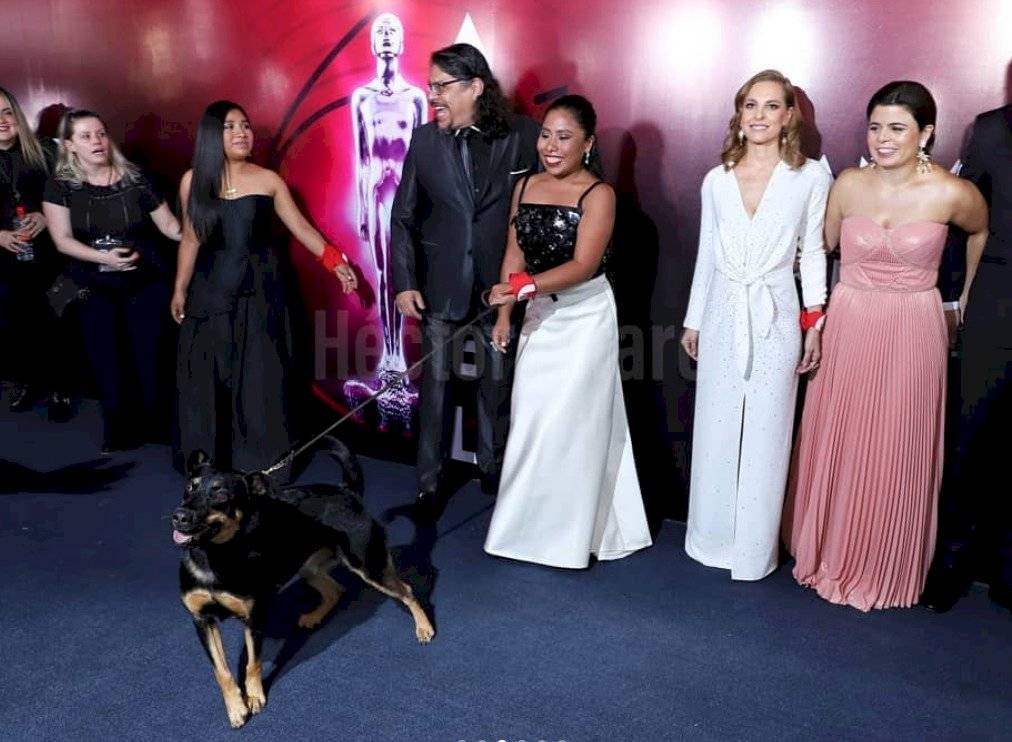 Premios Ariel 2019