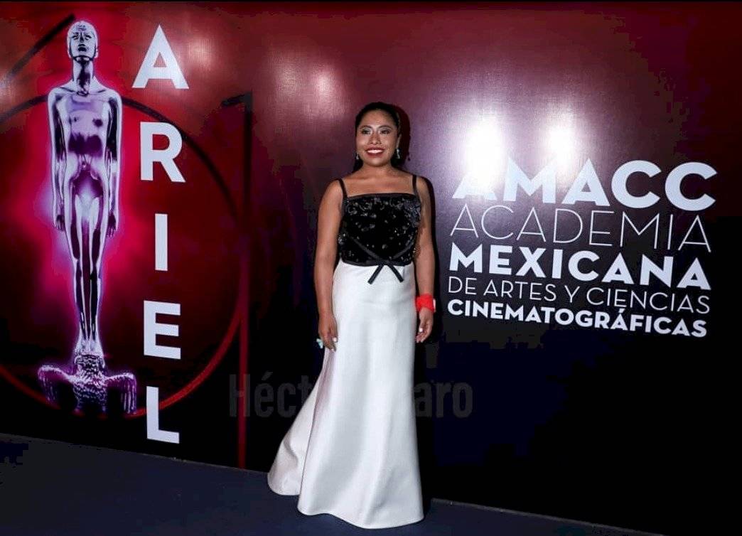 Premios Ariel 2019