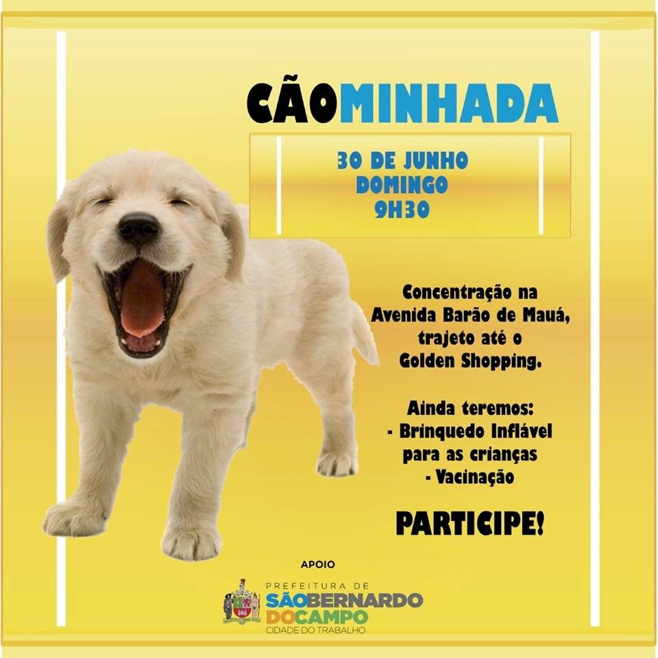 Cãominhada em São Bernardo