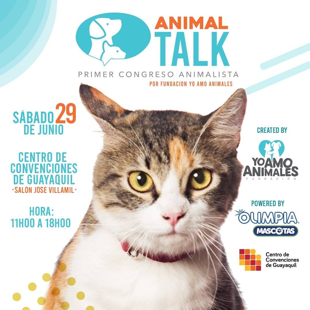 Animal Talk