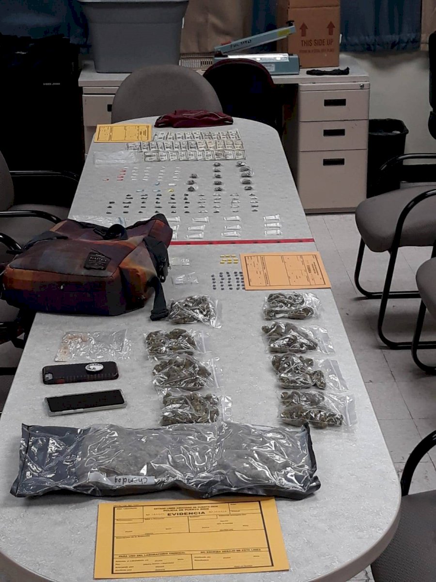 Agentes de la División de Drogas de Arecibo hacen fiesta arrestando en cuatro pueblos