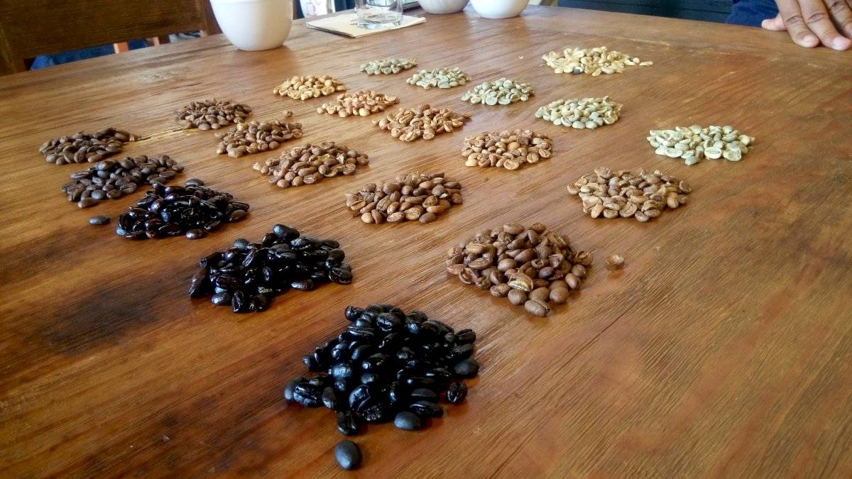 Travesías del Café