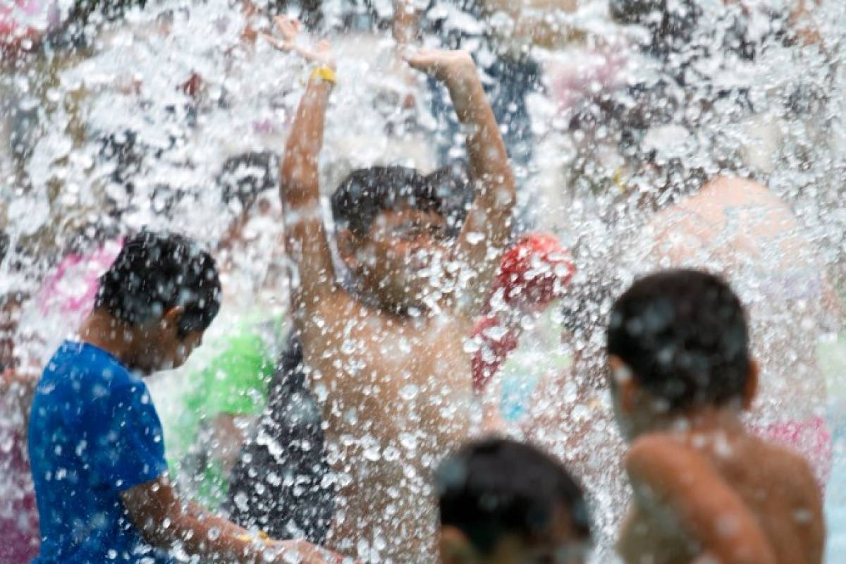 parásito fecal en piscinas