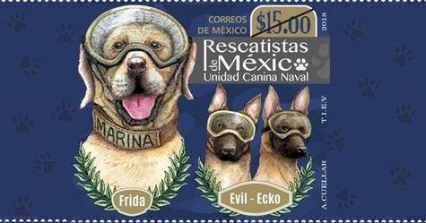 Adiós a Frida