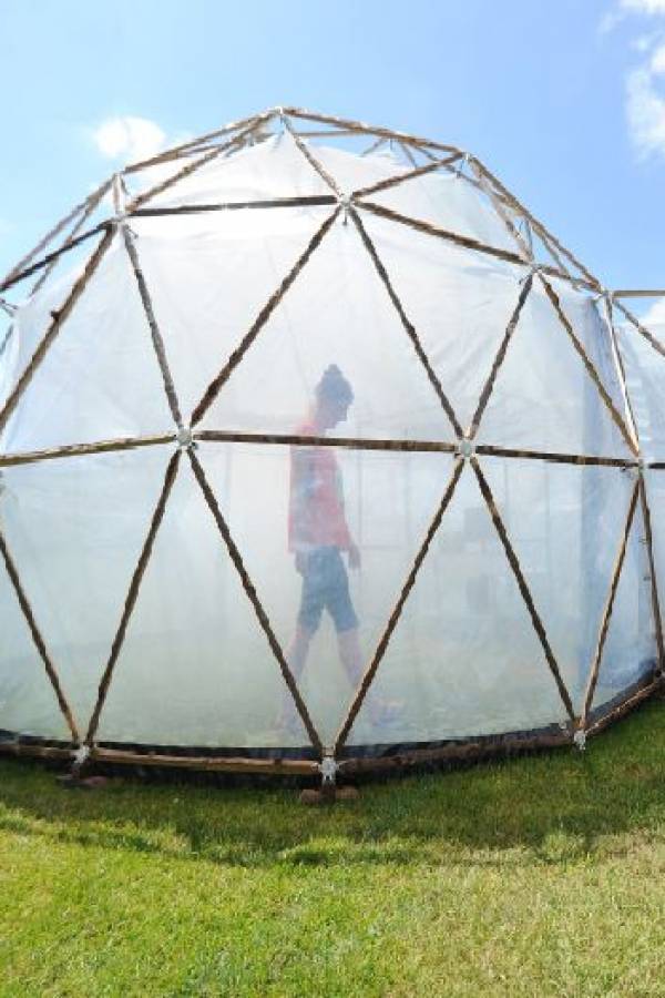 capsula