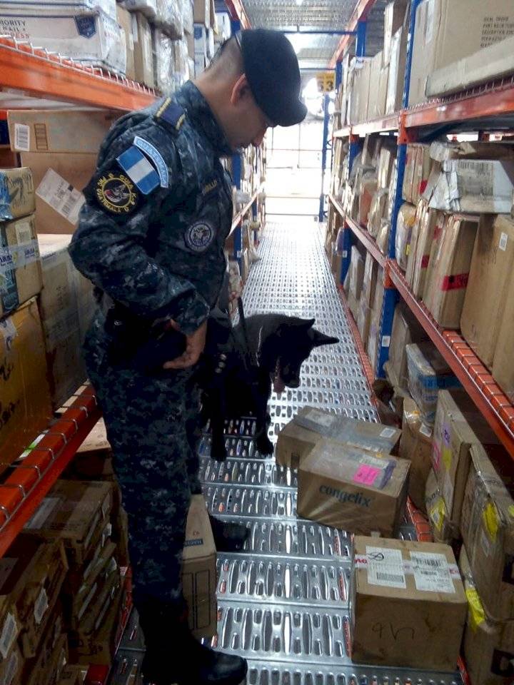 droga decomisada en empresa de encomiendas en zona 13