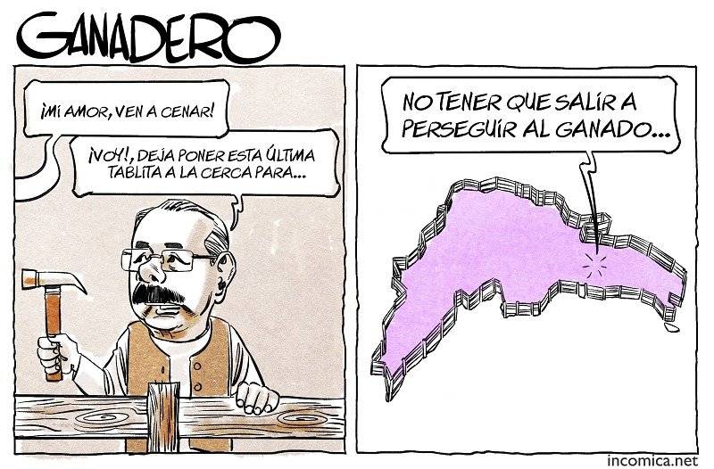 incomica