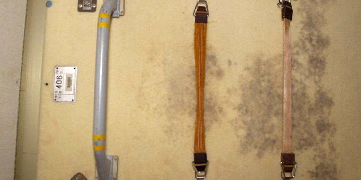 Altas dosis de radiación en la Estación Espacial Internacional podrían matar todo...menos al moho