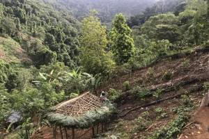 Ciudad Perdida