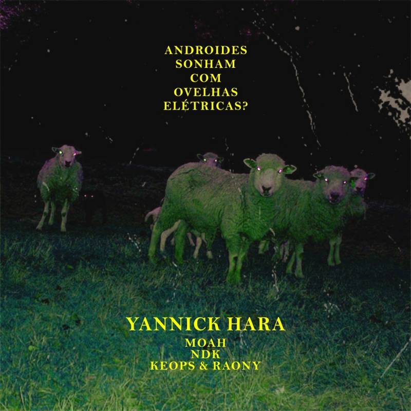 Yannick Hara