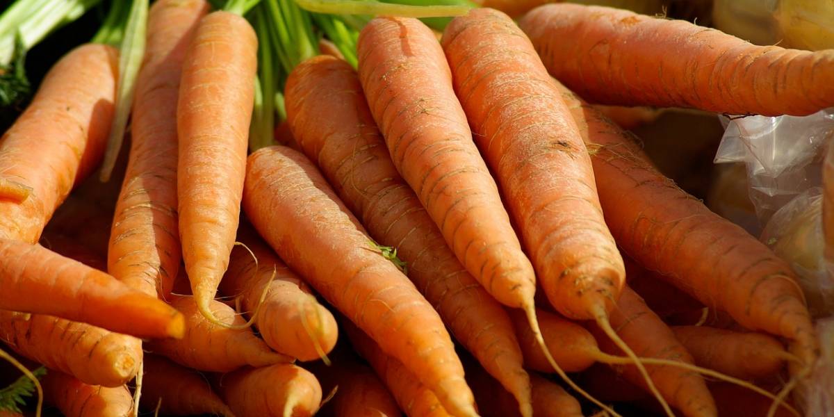 Cáncer: Las naranjas, uvas y zanahorias contienen compuestos que combaten esta enfermedad
