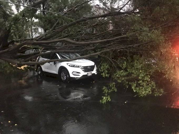 Tormenta causa estragos en diferentes zonas de Guadalajara