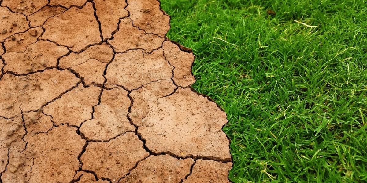 Esta web te enseña la alarmante evolución del calentamiento global en tu país