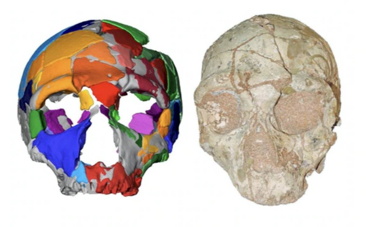 Homo sapiens no africano más antiguo