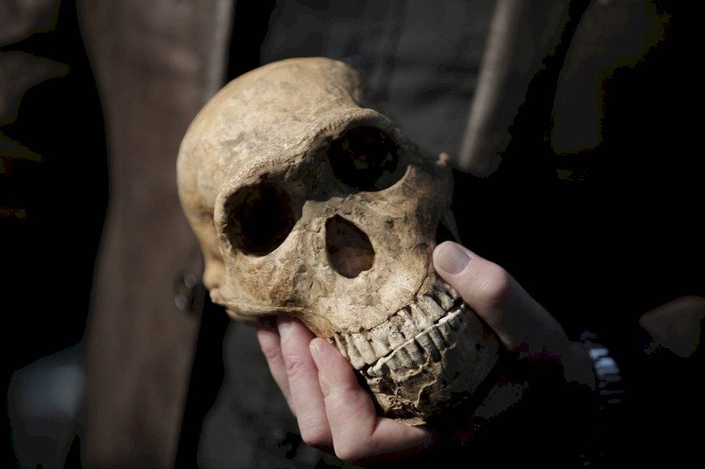 Homo sapiens no africano más antiguo