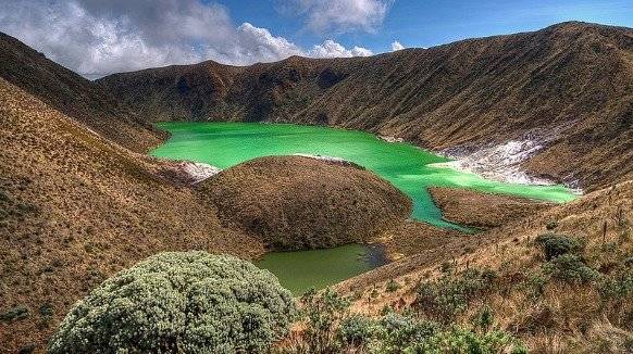 Captura de pantalla // http://www.colparques.net/VERDE