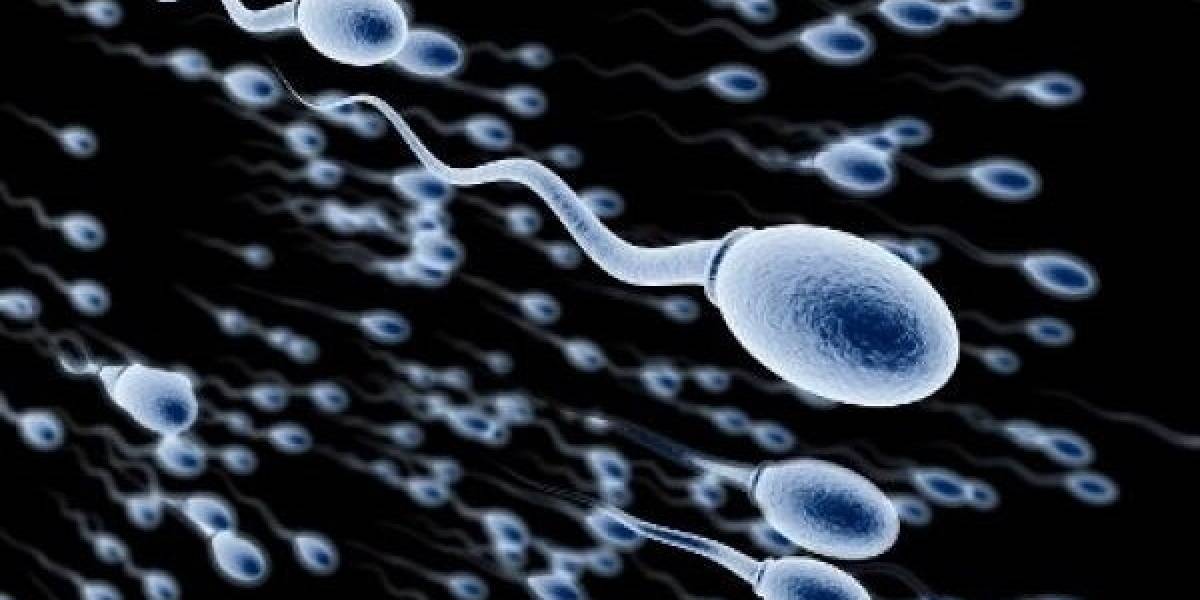 Un "pueblo" sin ley: estudio demuestra que los espermatozoides podrían envenenar a su contrincante mientras intentan alcanzar el óvulo