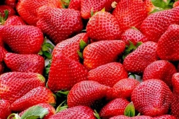 alimentos para hidratar la piel