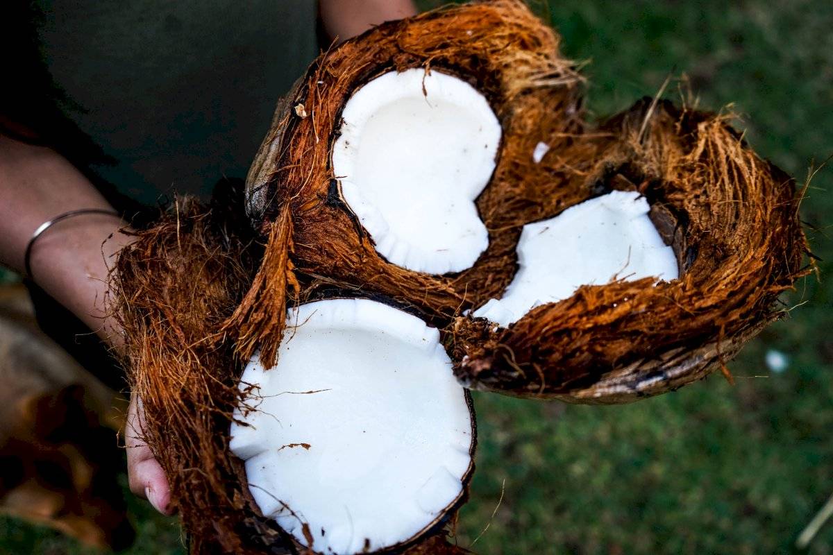 Coco