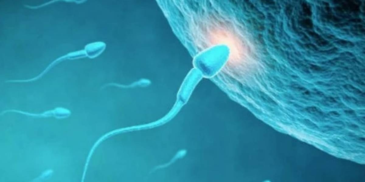 Científicos anuncian lanzamiento de primera vacuna anticonceptiva para hombres en 2020