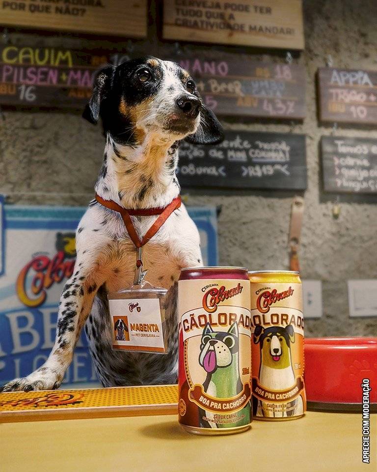Cerveja para cachorro Colorado