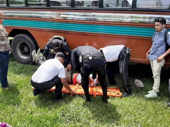 bus