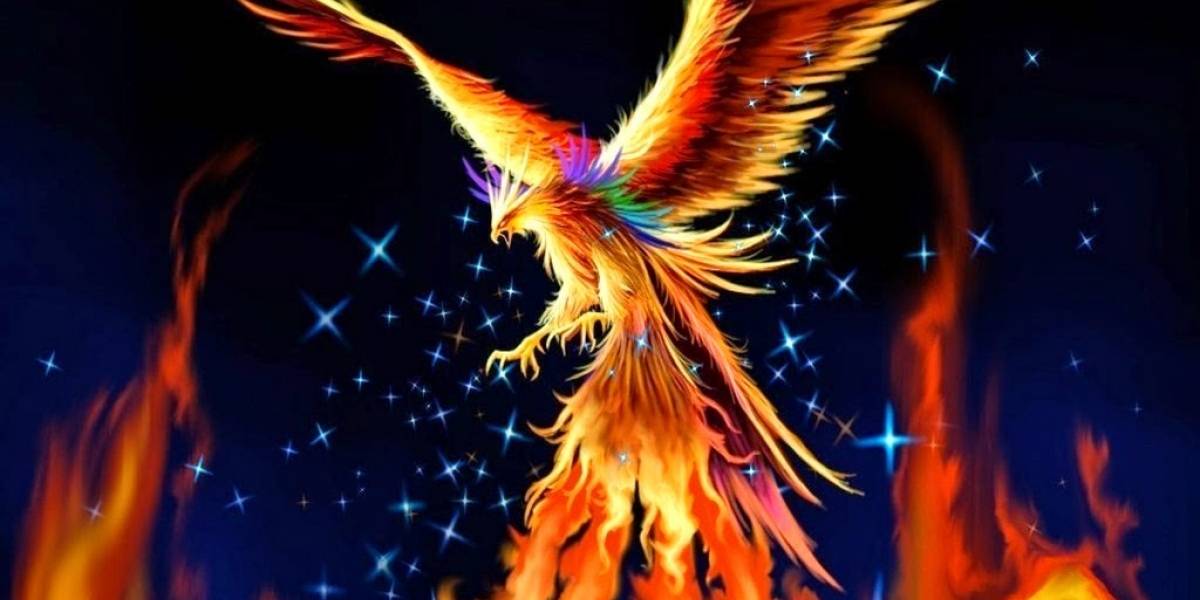 Rescatan a un ave luego de que la confundieran con un fénix