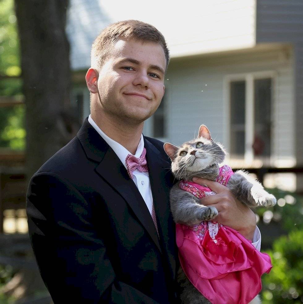 gata