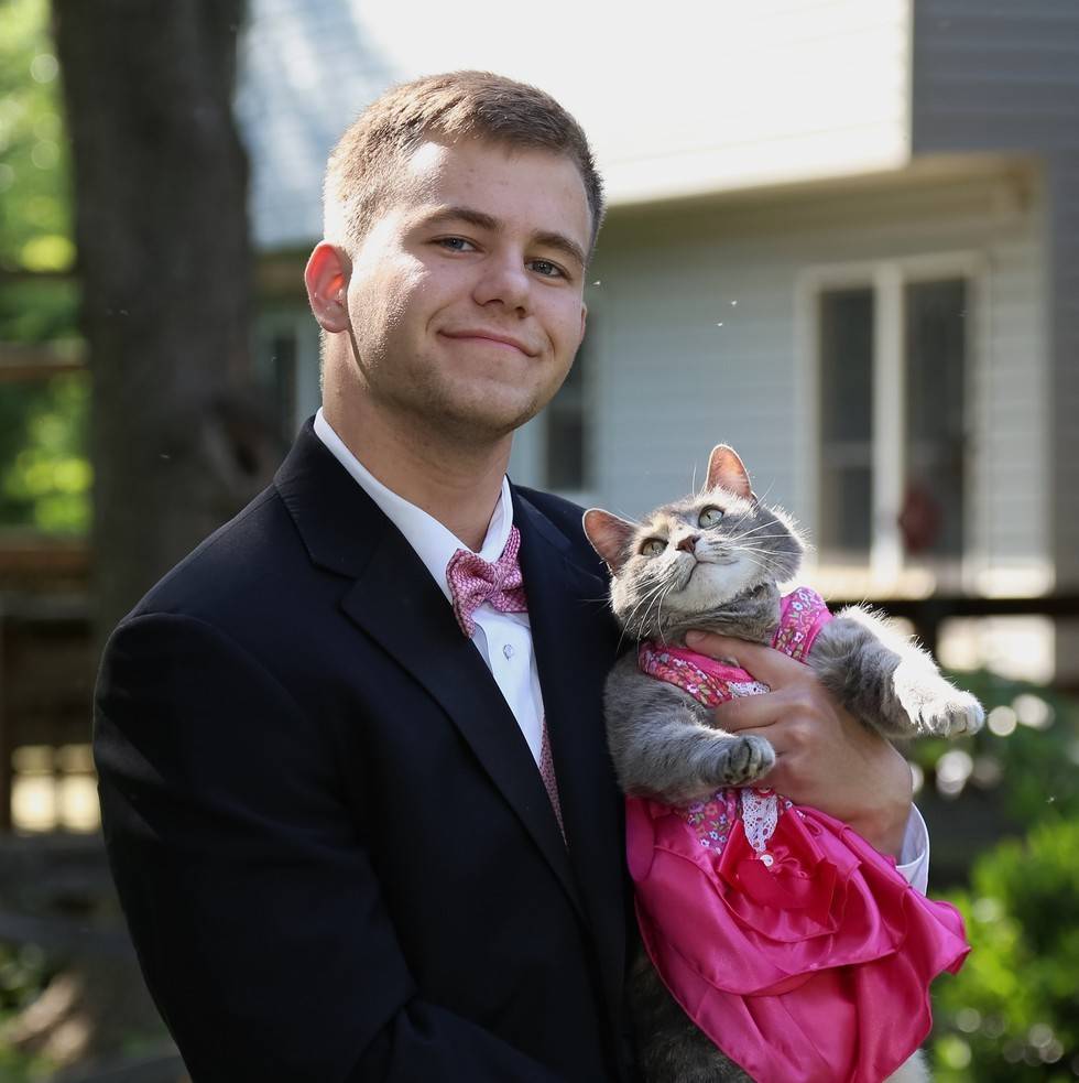gata gata