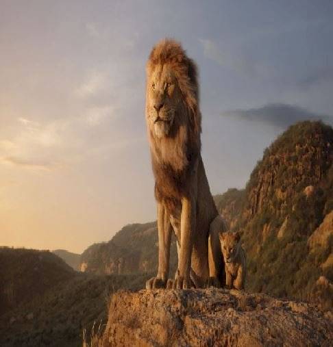 Rey leon