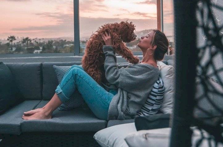 perro