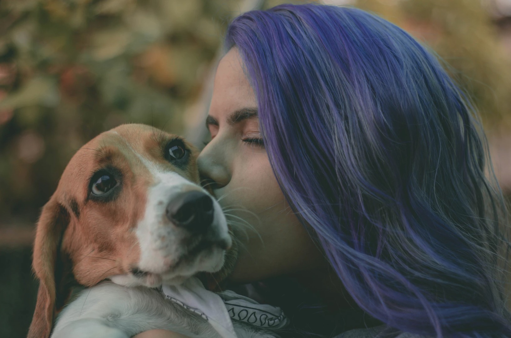 perro perro