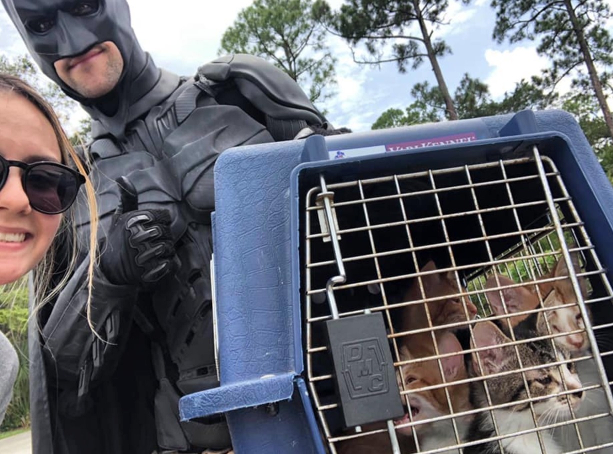 Batman Batman