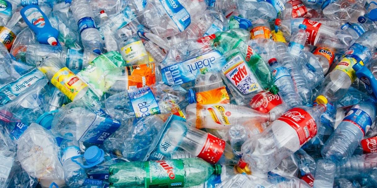Ciencia: un grupo de químicos habría encontrado la forma de fabricar un plástico degradable