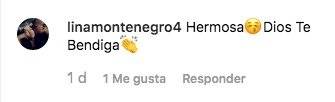 Captura de pantalla // comentario Instagram